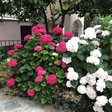 B&B Ca' Du Brigidin Tovo San Giacomo Buitenkant foto