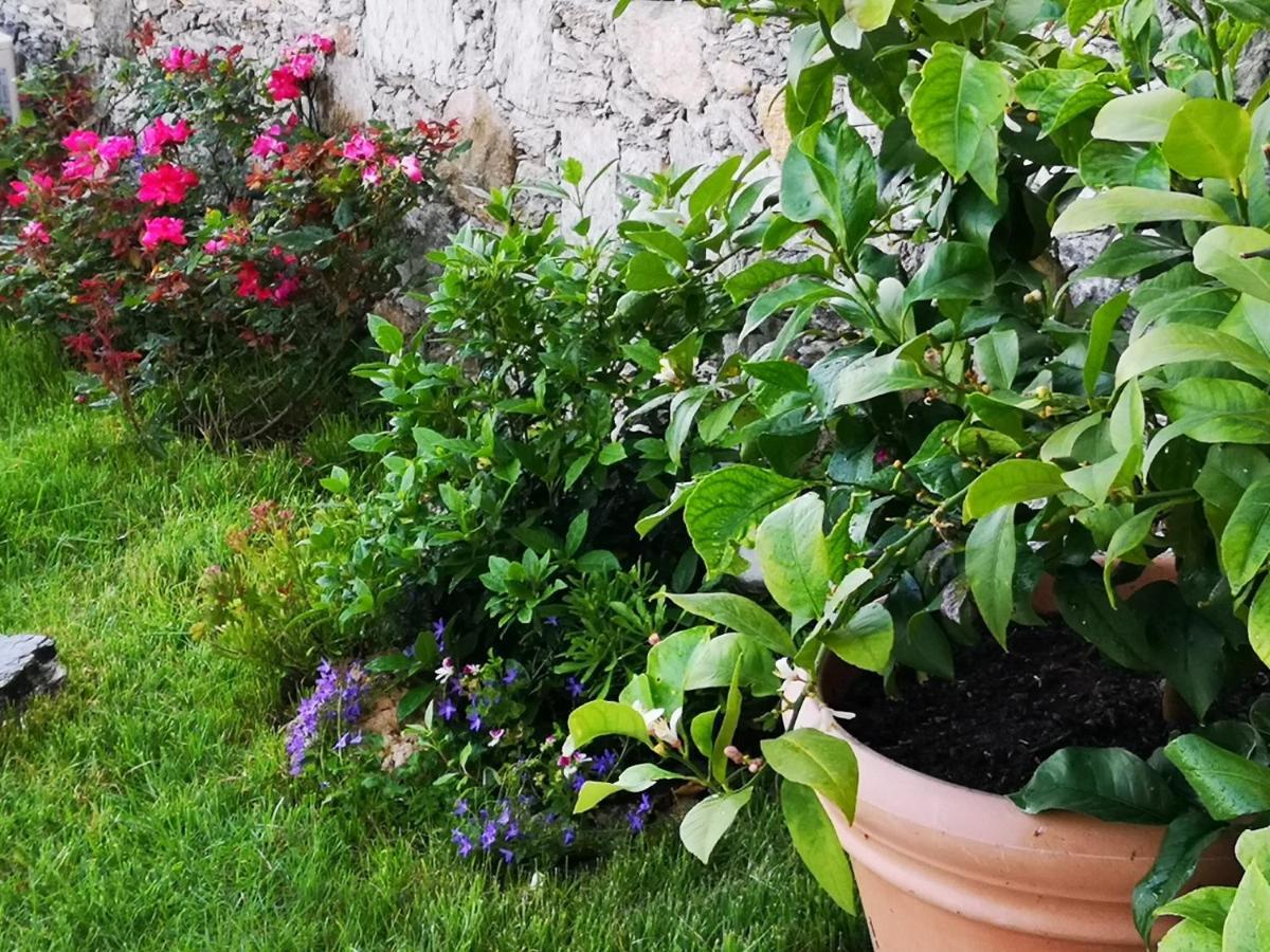 B&B Ca' Du Brigidin Tovo San Giacomo Buitenkant foto