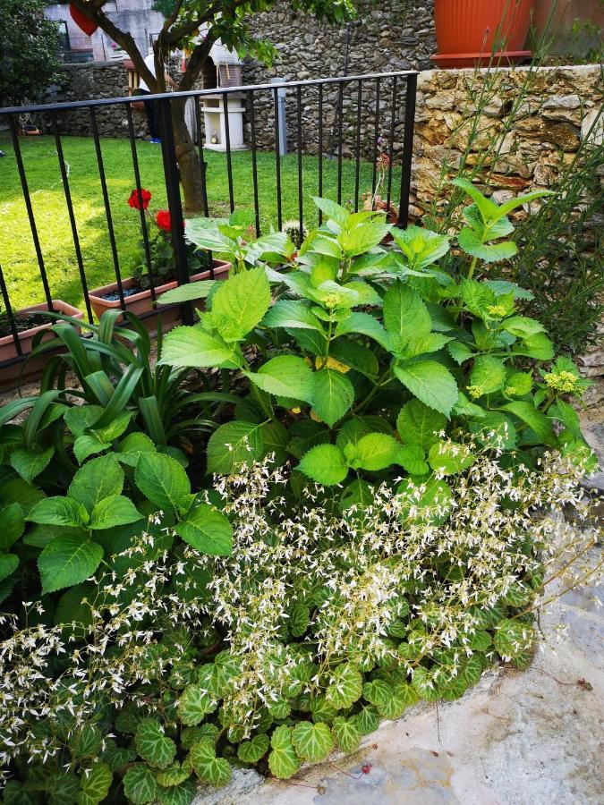 B&B Ca' Du Brigidin Tovo San Giacomo Buitenkant foto