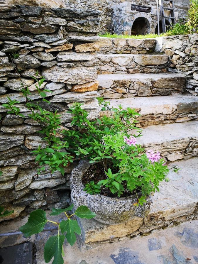 B&B Ca' Du Brigidin Tovo San Giacomo Buitenkant foto