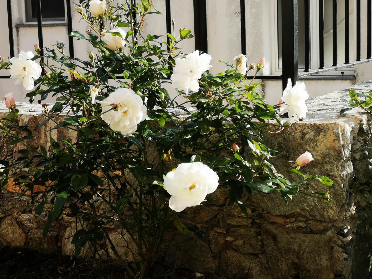 B&B Ca' Du Brigidin Tovo San Giacomo Buitenkant foto