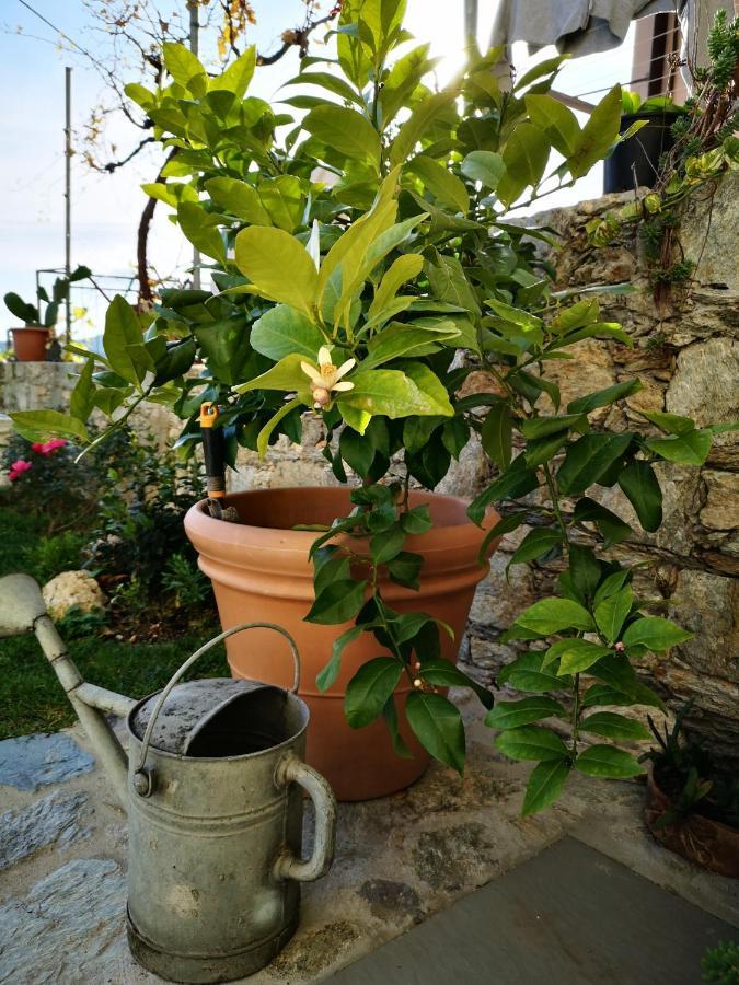 B&B Ca' Du Brigidin Tovo San Giacomo Buitenkant foto
