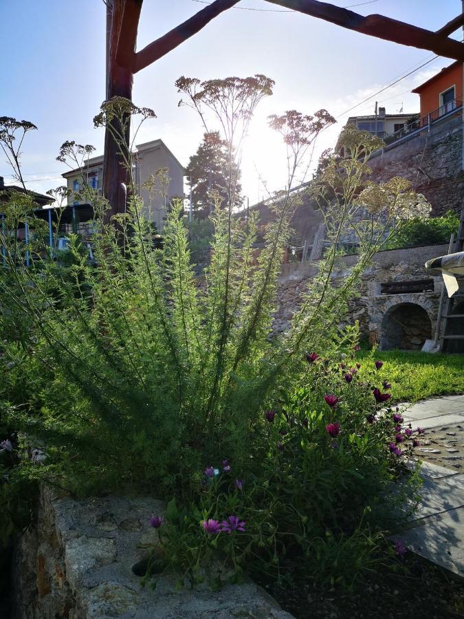 B&B Ca' Du Brigidin Tovo San Giacomo Buitenkant foto