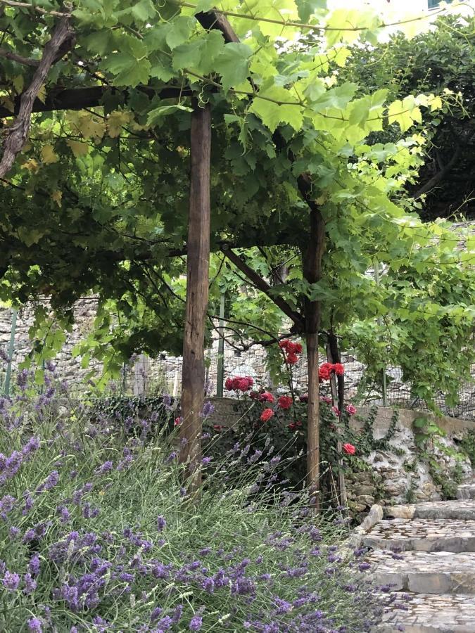 B&B Ca' Du Brigidin Tovo San Giacomo Buitenkant foto